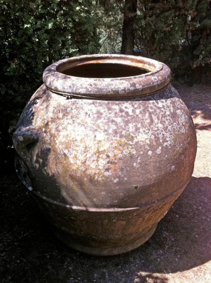 הוילה גאליאנו Agriturismo Il Palazzaccio מראה חיצוני תמונה