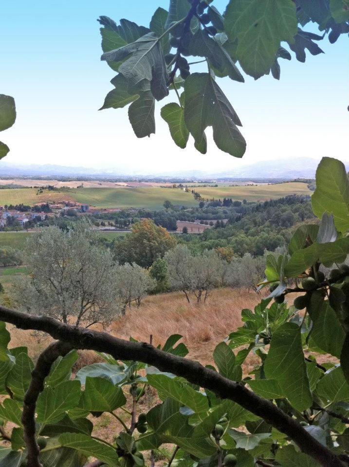 הוילה גאליאנו Agriturismo Il Palazzaccio מראה חיצוני תמונה