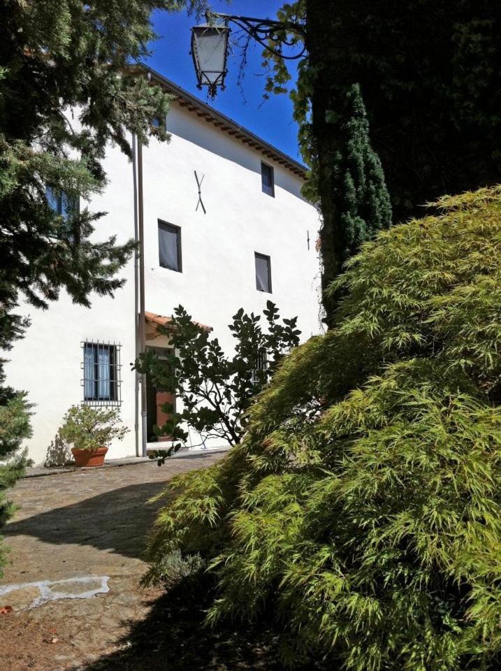 הוילה גאליאנו Agriturismo Il Palazzaccio מראה חיצוני תמונה