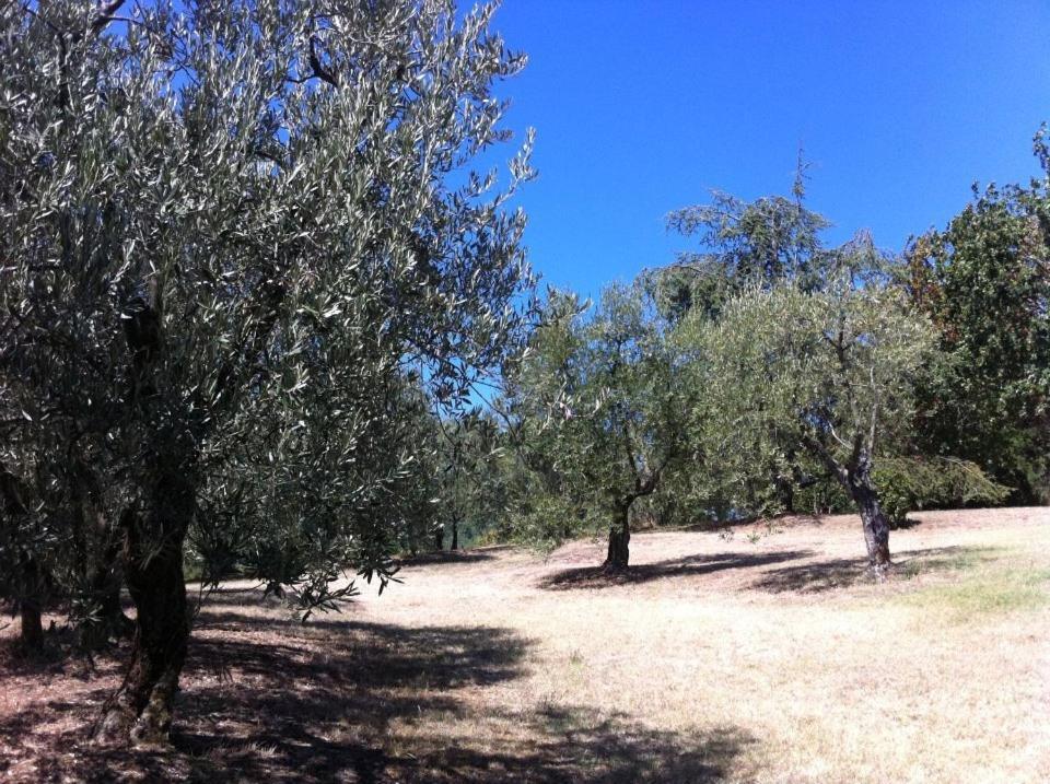 הוילה גאליאנו Agriturismo Il Palazzaccio מראה חיצוני תמונה