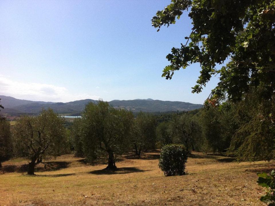 הוילה גאליאנו Agriturismo Il Palazzaccio מראה חיצוני תמונה