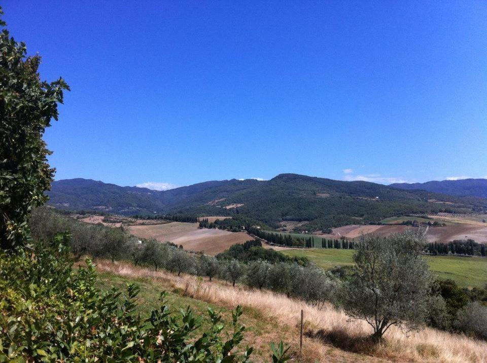 הוילה גאליאנו Agriturismo Il Palazzaccio מראה חיצוני תמונה